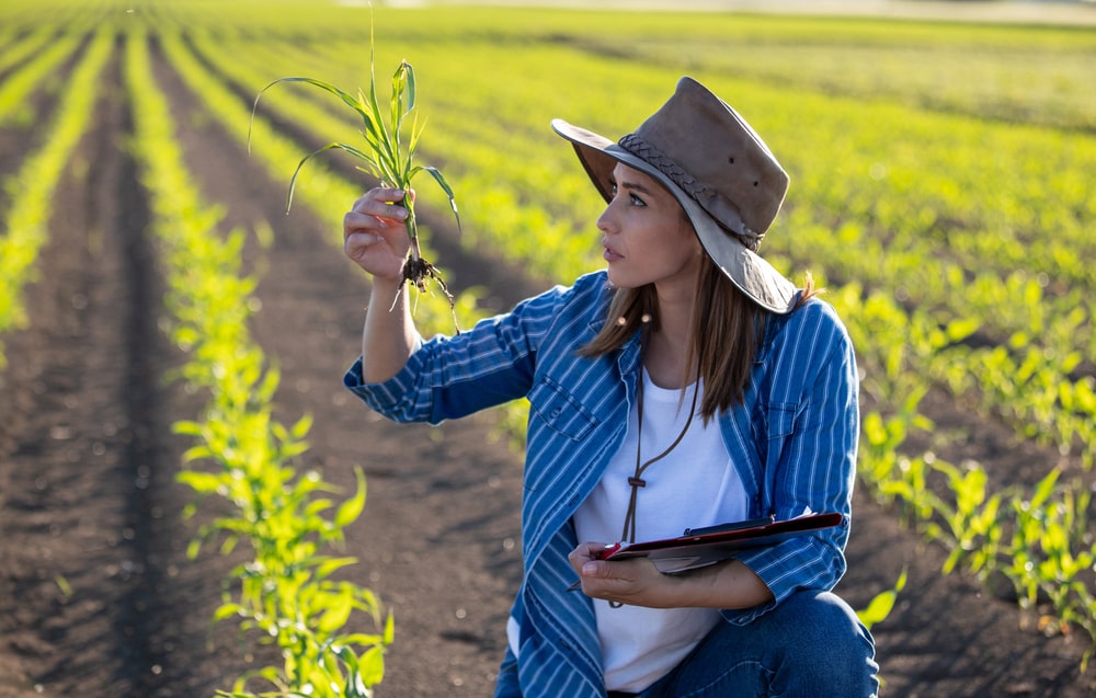 10 Farm Grants For Females 2024 Single Mothers Grant